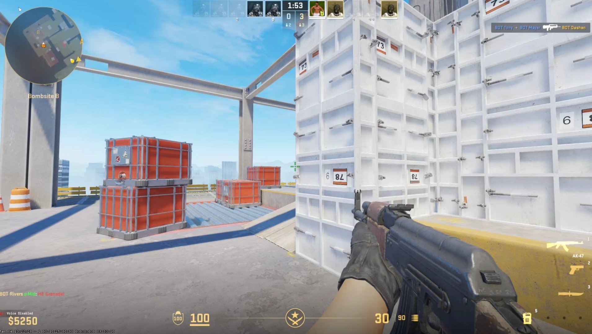 只狼：影逝二度 终极版 截图9